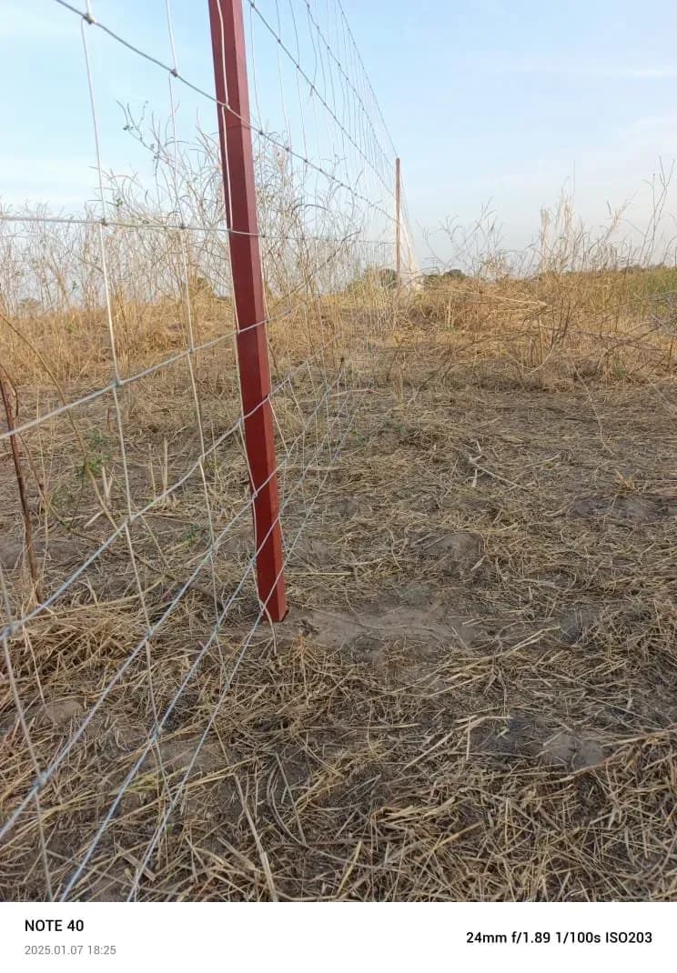 Chantier de clôture à Nguéniène, photo 2 sur 6