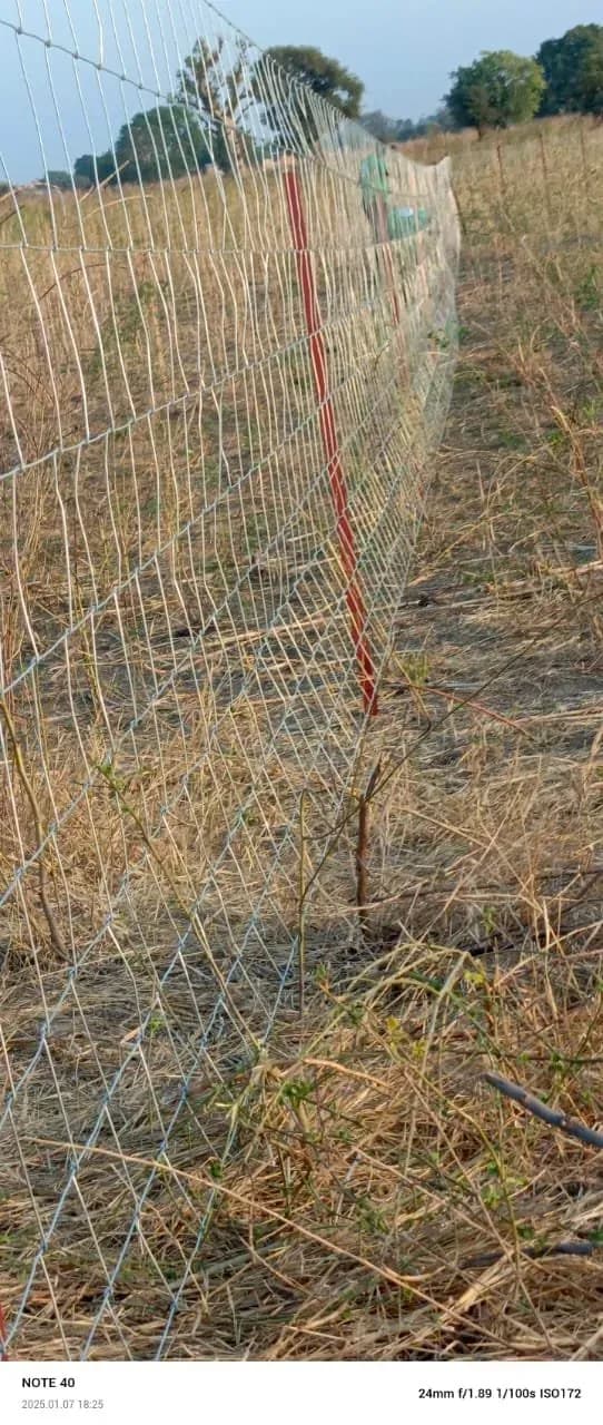 Chantier de clôture à Nguéniène, photo 3 sur 6
