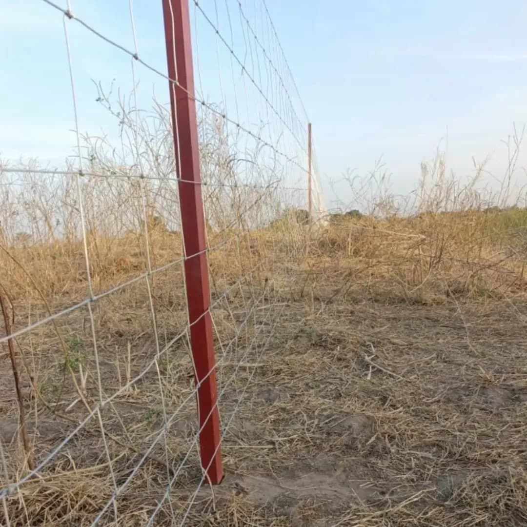 Chantier de clôture à Nguéniène, photo 5 sur 6