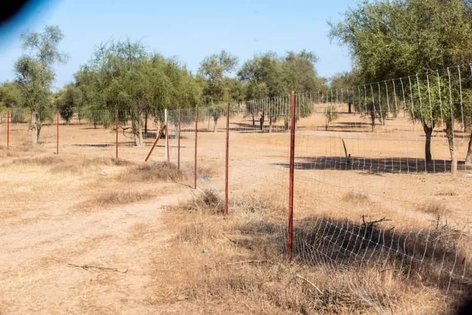 Chantier de clôture à Touba, photo 3 sur 7