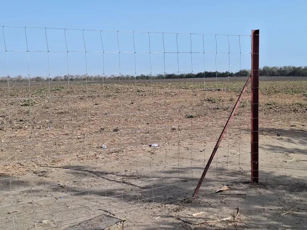Fence installation site in Touba, photo 4 of 5
