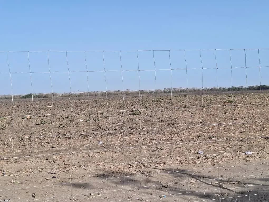 Fence installation site in Touba, photo 3 of 5