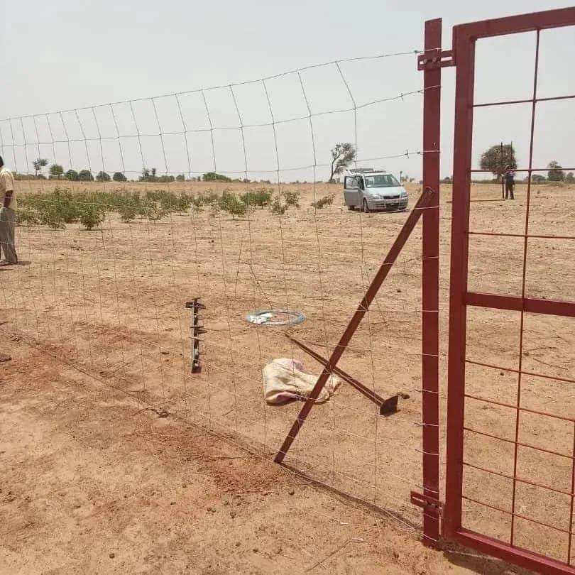 Fence installation site in Thiadiaye, photo 2 of 5