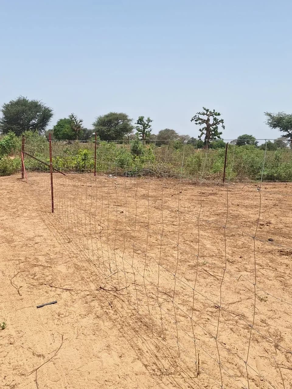 Fence installation site in Thiès, photo 10 of 11