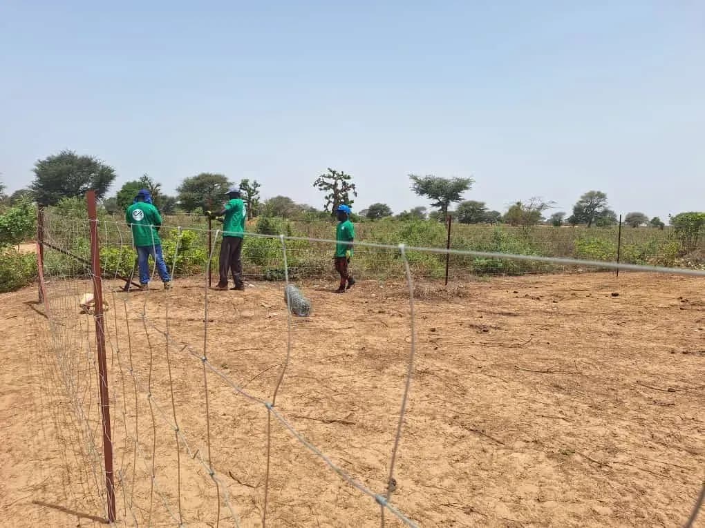 Fence installation site in Thiès, photo 6 of 11