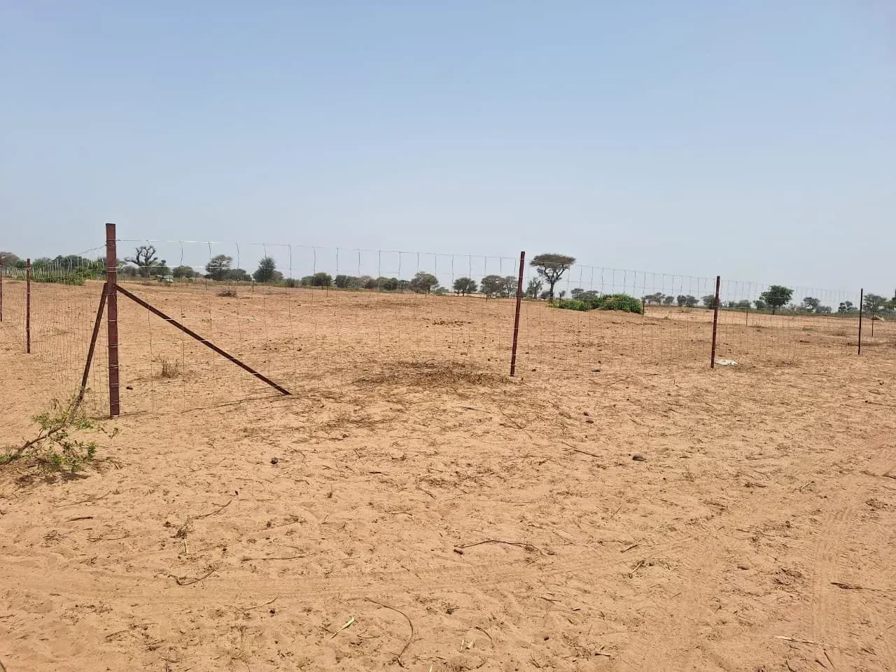 Fence installation site in Thiès, photo 3 of 11