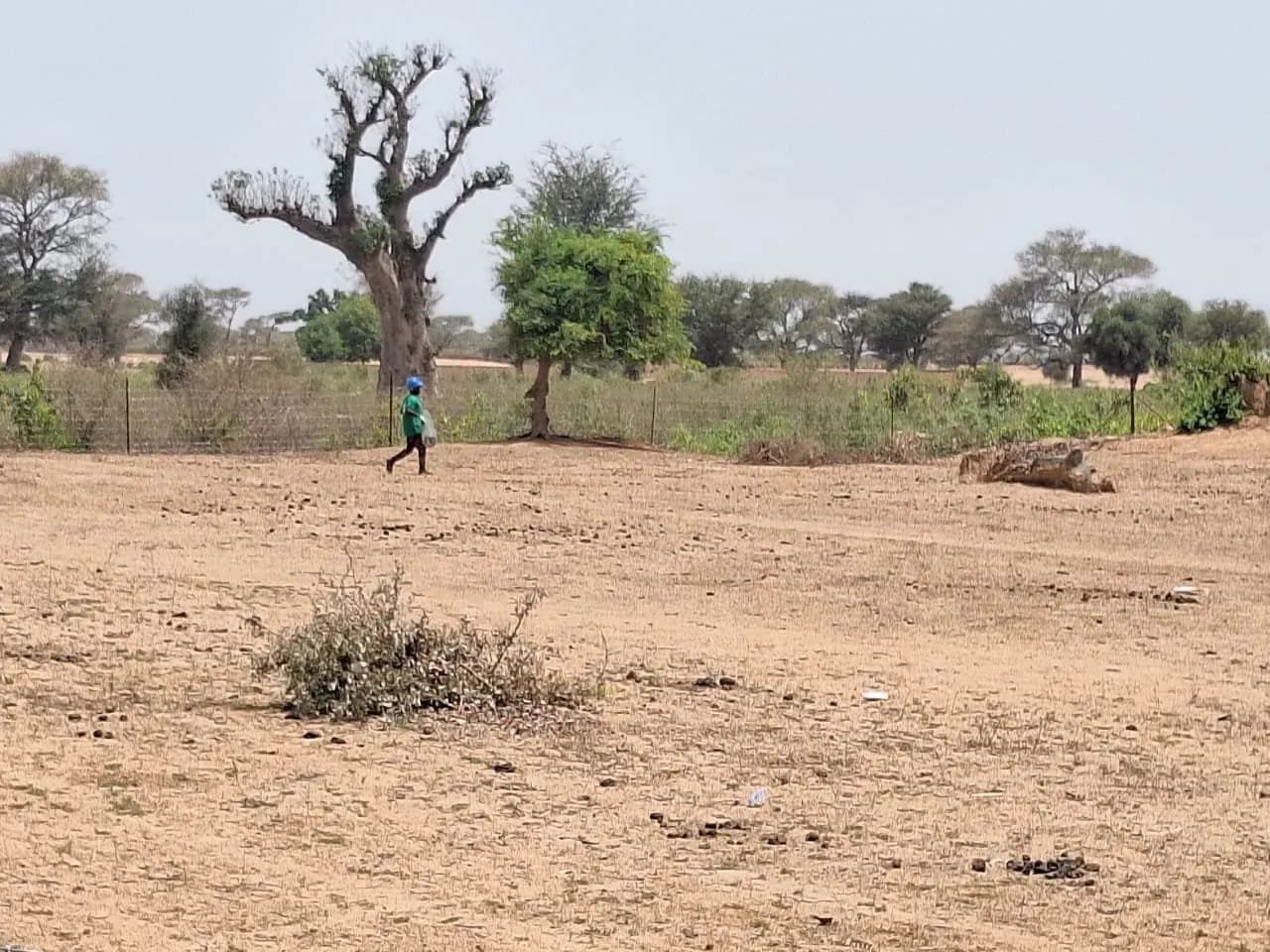 Fence installation site in Thiès, photo 4 of 11